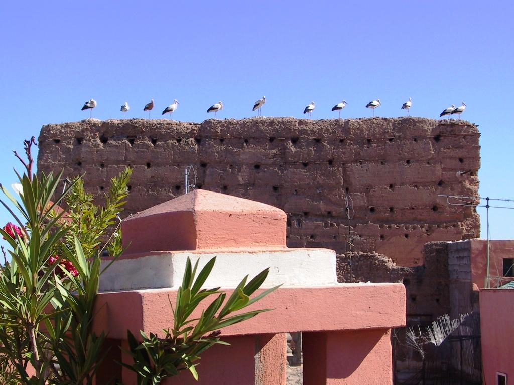 Riad El Farah Kasbah Марракеш Экстерьер фото